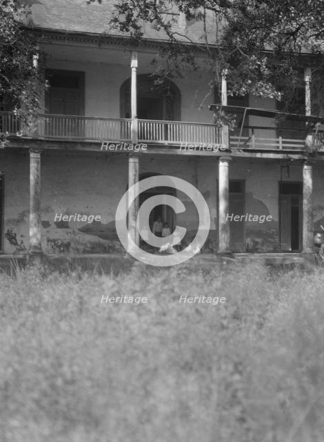 Sarpy plantation below the city of New Orleans, between 1920 and 1926. Creator: Arnold Genthe.