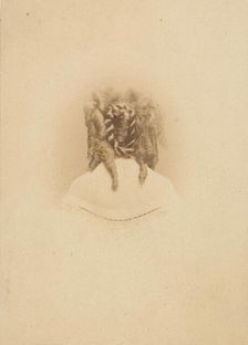 Sculptural Shoulders, 1861-67. Creator: Pierre-Louis Pierson