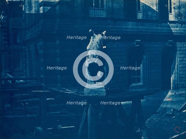 Sculpture de griffon sur un chantier à Marseille (Sculpture of a Griffin..., c. 1866-1868. Creator: Adolphe Terris.