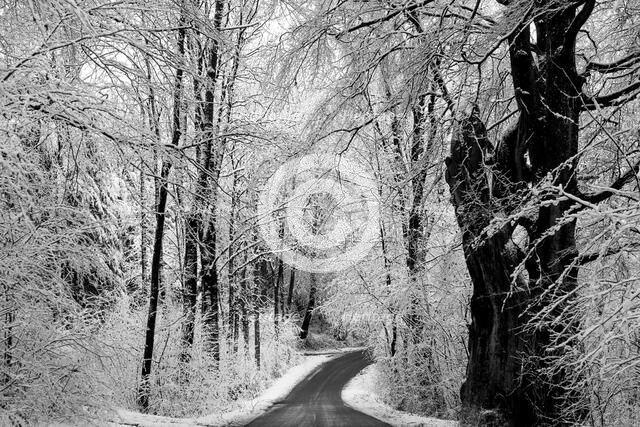 Scandinavian Winter. Creator: Dorte Verner.