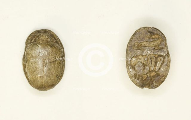 Scarab: Rabbit with Hathor Sistrum, Egypt, New Kingdom-Late Period, Dynasties 18-26 (abt 1550-525 BC Creator: Unknown.