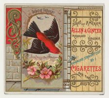 Scarlet Tanager, from the Birds of America series (N37) for Allen & Ginter Cigarettes, 1888. Creator: Allen & Ginter