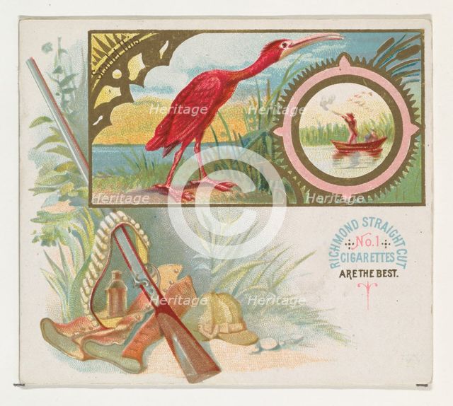 Scarlet Ibis, from the Game Birds series (N40) for Allen & Ginter Cigarettes, 1888-90. Creator: Allen & Ginter.