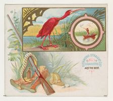 Scarlet Ibis, from the Game Birds series (N40) for Allen & Ginter Cigarettes, 1888-90. Creator: Allen & Ginter