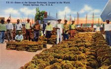Scene at the sponge exchange, Tarpon Springs, Florida, USA, 1940