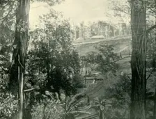 Scene at Upper Gembrook, Victoria 1901. Creator: Unknown