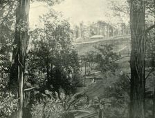 Scene at Upper Gembrook, Victoria 1901. Creator: Unknown