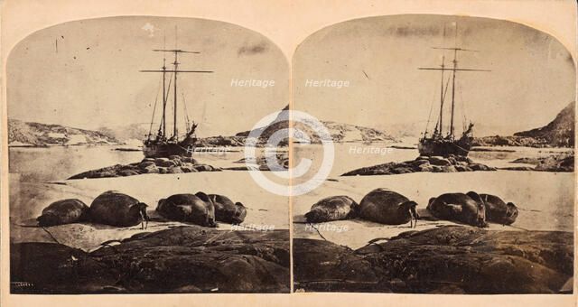 Scène de la mer glacial, ca. 1859. Creator: Isaac Israel Hayes.