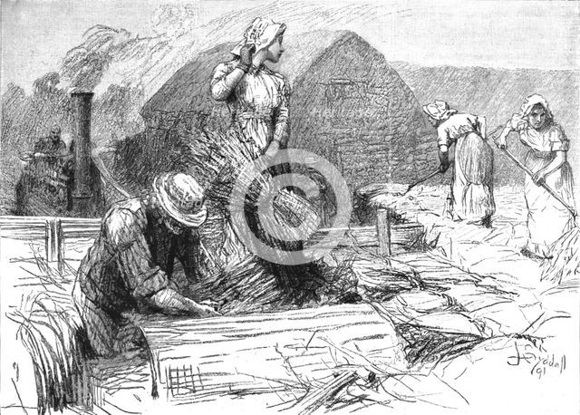 Scene from "Tess of the D'Urbervilles", by Thomas Hardy, 1891. Creator: Sydall.