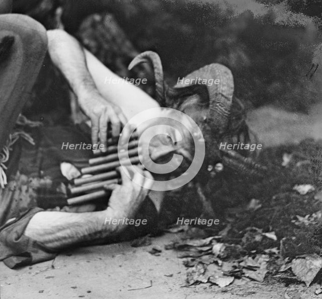 Scene from Sanctuary, A Bird Masque, by Percy MacKaye...Meriden Bird Club...New Hampshire, 1913. Creator: Arnold Genthe.