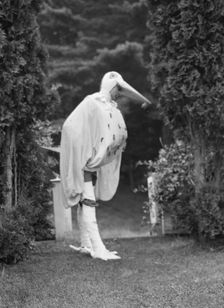 Scene from Sanctuary, A Bird Masque, by Percy MacKaye...Meriden Bird Club...New Hampshire, 1913. Creator: Arnold Genthe