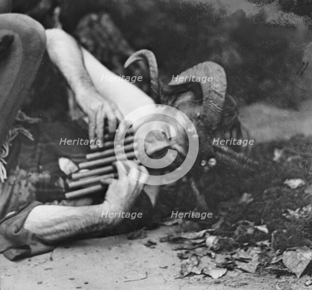 Scene from Sanctuary, A Bird Masque, by Percy MacKaye...Meriden Bird Club...New Hampshire, 1913. Creator: Arnold Genthe.