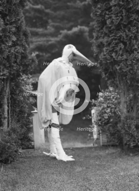 Scene from Sanctuary, A Bird Masque, by Percy MacKaye...Meriden Bird Club...New Hampshire, 1913. Creator: Arnold Genthe.