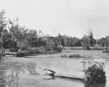 Scene in Mississippi, USA, c1900. Creator: Unknown