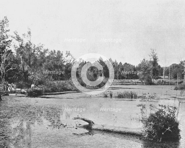 Scene in Mississippi, USA, c1900.  Creator: Unknown.