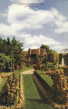 Scene in Shaw's Garden, St Louis, Missouri, USA, 1910. Creator: Unknown