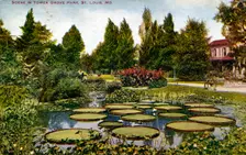 Scene in Tower Grove Park, St Louis, Missouri, USA, 1908