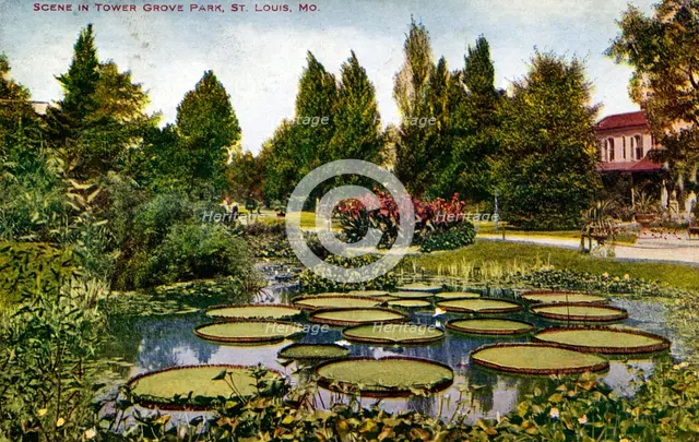 Scene in Tower Grove Park, St Louis, Missouri, USA, 1908. Artist: Unknown