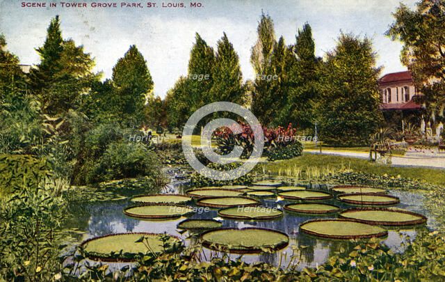Scene in Tower Grove Park, St Louis, Missouri, USA, 1908. Artist: Unknown