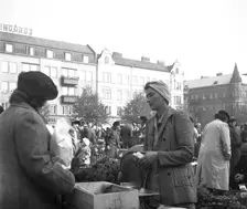 Scene in the market, Malmö, Sweden, 1947. Creator: Otto Ohm