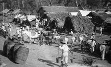 Scene in the village of Abra, between 1880 and 1897. Creator: William H. Jackson