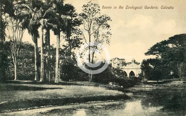 'Scene in the Zoological Gardens, Calcutta'. Creator: Unknown.