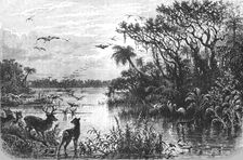 Scene on a Creek, Tributary to the St. John's, Florida; A Flying Visit to Florida 1875. Creator: Thomas Mayne Reid