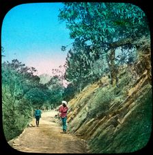 Scene on a road, Murree, India, late 19th or early 20th century