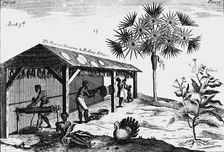 Scene on an American tobacco plantation, 1725
