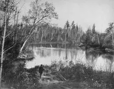 Scene on Peshtigo River, Wisconsin c1897. Creator: Unknown