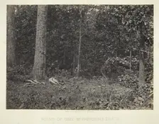 Scene of Gen. McPhersons Death, 1864/66. Creator: George N. Barnard