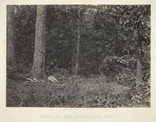 Scene of Gen. McPhersons Death, 1864/66. Creator: George N. Barnard