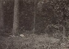Scene of General McPherson's Death, 1864 or 1866. Creator: George N. Barnard