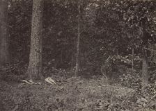 Scene of General McPherson's Death, 1864 or 1866. Creator: George N. Barnard