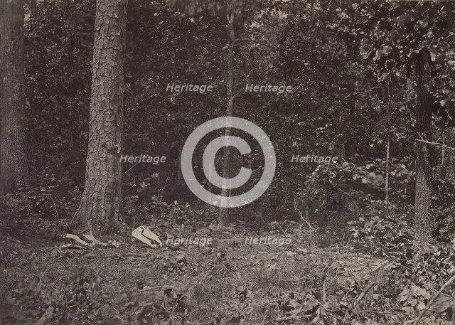 Scene of General McPherson's Death, 1864 or 1866. Creator: George N. Barnard.