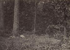 Scene of General McPherson's Death, 1864 or 1866. Creator: George N. Barnard