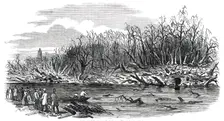 Scene of the Explosion of the Hounslow Powder-Mill, 1850. Creator: Unknown