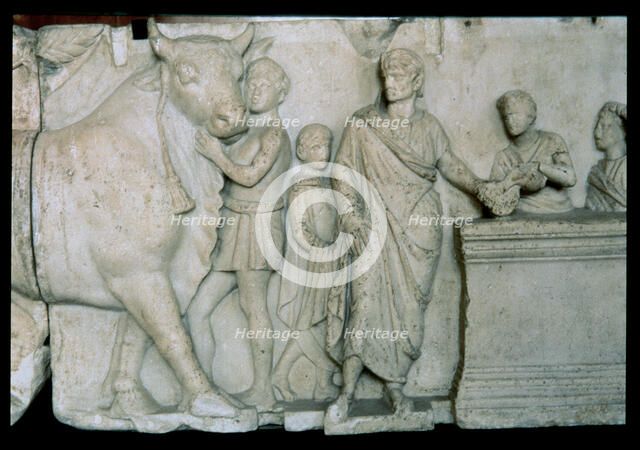 Scene of the sacrifice of a bull to the god Mars, relief on the altar of Domitius Aenobarbus.