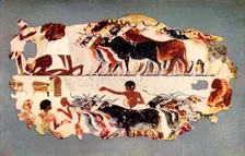 Scene representing the driving of a large herd of cattle on an Egyptian farm c1350 BC, (1915.) Creator: Unknown