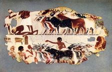 Scene representing the driving of a large herd of cattle on an Egyptian farm c1350 BC, (1915.) Creator: Unknown