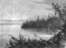 Scene upon the St. John's, Florida; A Flying Visit to Florida 1875. Creator: Thomas Mayne Reid