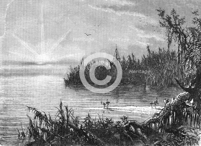 'Scene upon the St. John's, Florida; A Flying Visit to Florida', 1875. Creator: Thomas Mayne Reid.