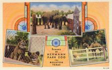 Scenes at Hermann Park Zoo, Houston, Texas USA, postcard, 1932