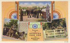 Scenes at Hermann Park Zoo, Houston, Texas USA, postcard, 1932