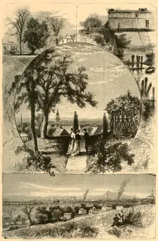 Scenes at Springfield 1874. Creator: John J. Harley