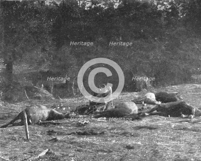 'Scenes de Guerre; Au cours la poursuite, un de nos obus tombe sur un caisson allemand', 1914 Creator: Unknown.