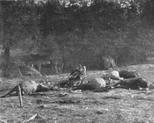Scenes de Guerre; Au cours la poursuite, un de nos obus tombe sur un caisson allemand 1914 Creator: Unknown