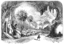 Scenes from the Christmas pantomimes: "Aladdin and the Wonderful Lamp" - the Enchanted..., 1865. Creator: Unknown