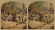Scenes in Our Village. John Sims at his Pigsty, about 1865. Creator: London Stereoscopic & Photographic Co
