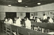 Scenes in a Native College - Students of Bacteriology at the Fort Hare Native College at Alice in C Creator: Unknown